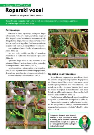 Revija Tabor 2016/6 str. 16
